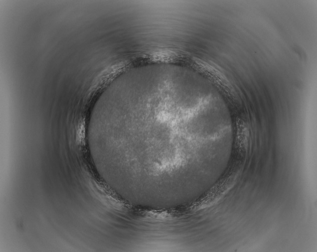 X0000111530502200908041307