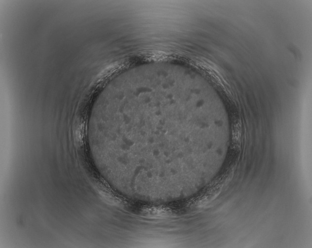 X0000111530503200908041307