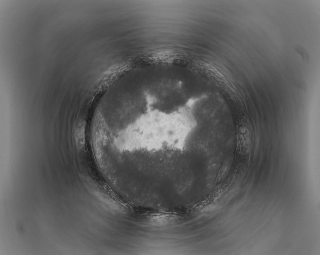 X0000111530504200908041307