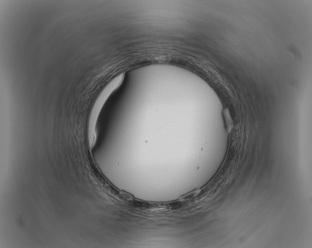 X0000111530505200908041307