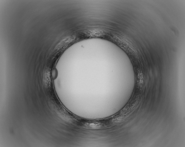 X0000111530506200908041307