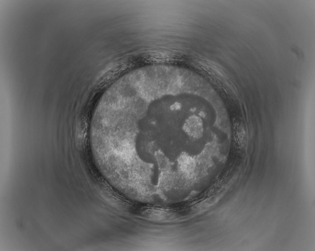 X0000111530507200908041307