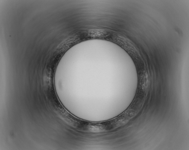 X0000111530510200908041307