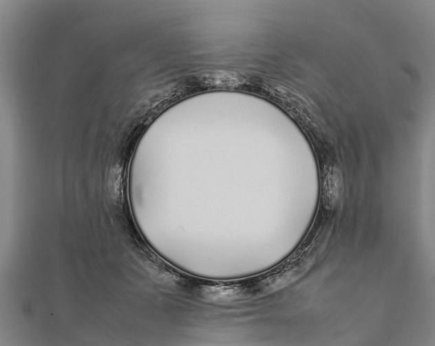 X0000111530511200908041307