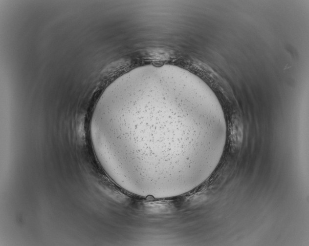 X0000111530516200908041307