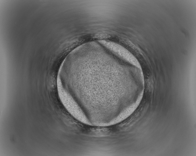 X0000111530517200908041307