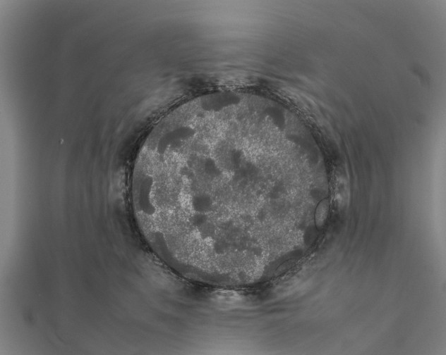 X0000111530519200908041307