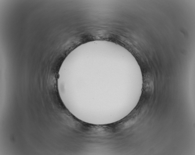 X0000111530523200908041307