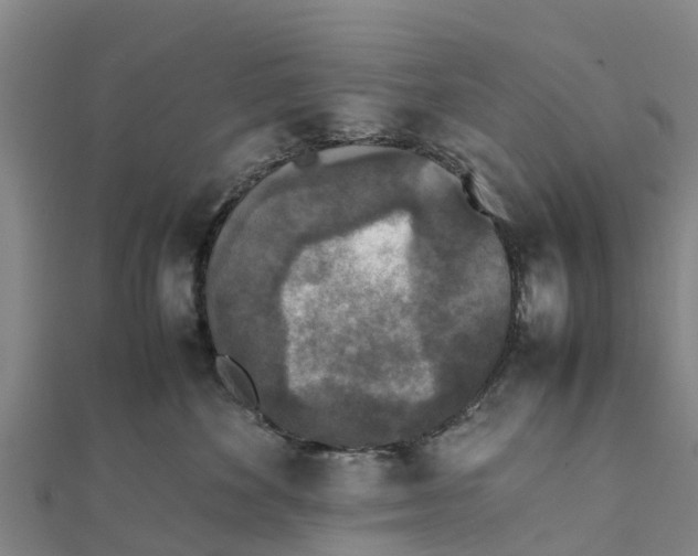 X0000111530524200908041307