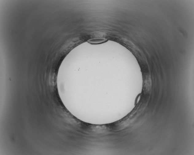 X0000111530525200908041307