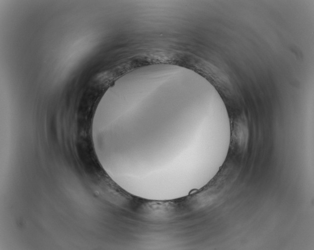 X0000111530526200908041307