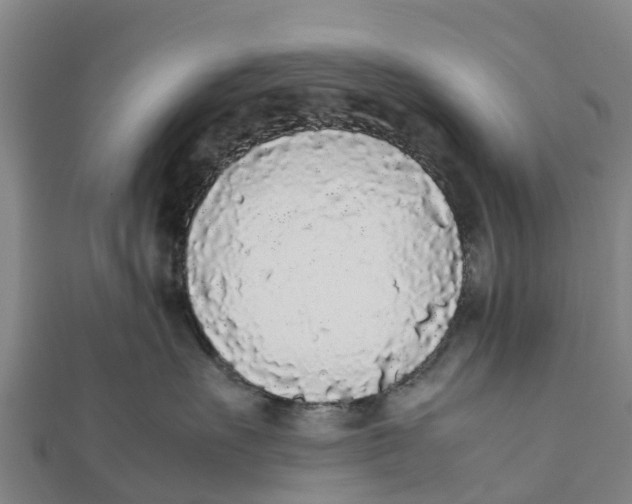 X0000111530527200908041307