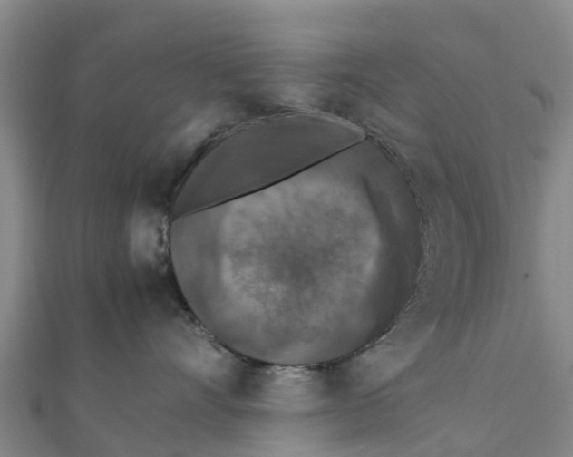 X0000111530528200908041307