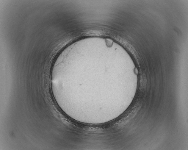 X0000111530529200908041306