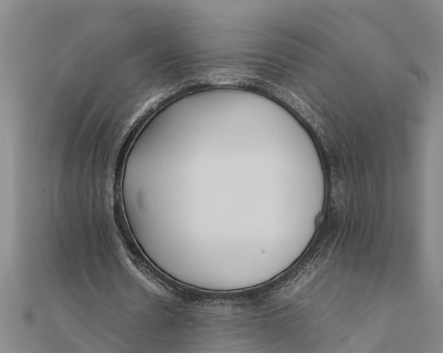 X0000111530530200908041306