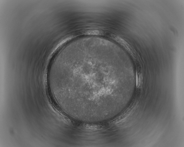 X0000111530531200908041306