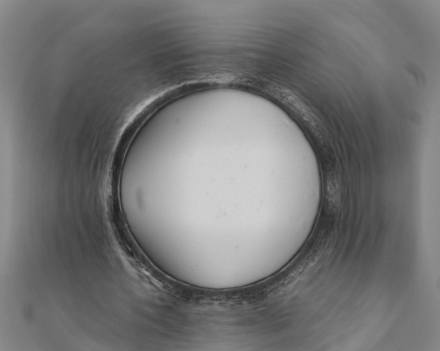 X0000111530532200908041306