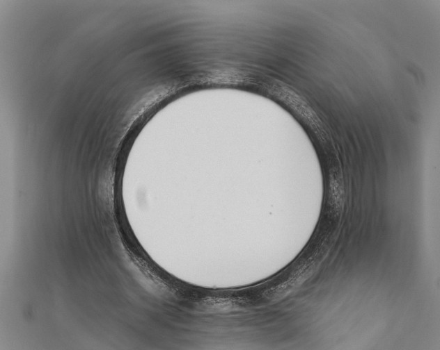 X0000111530534200908041306