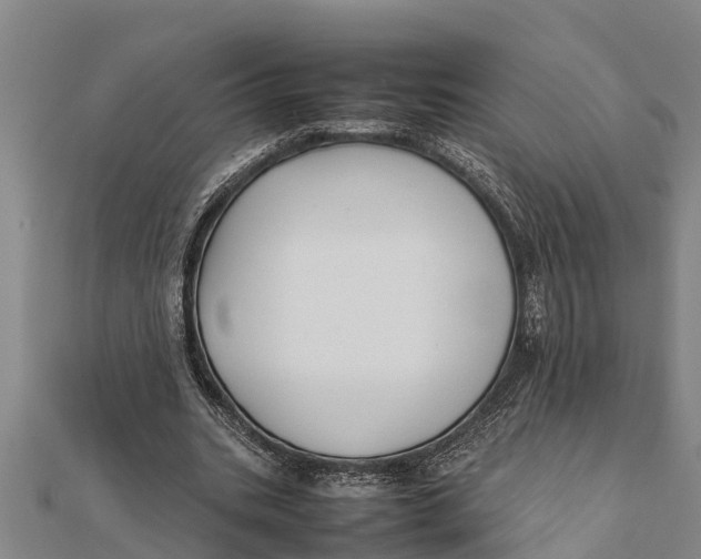 X0000111530535200908041306