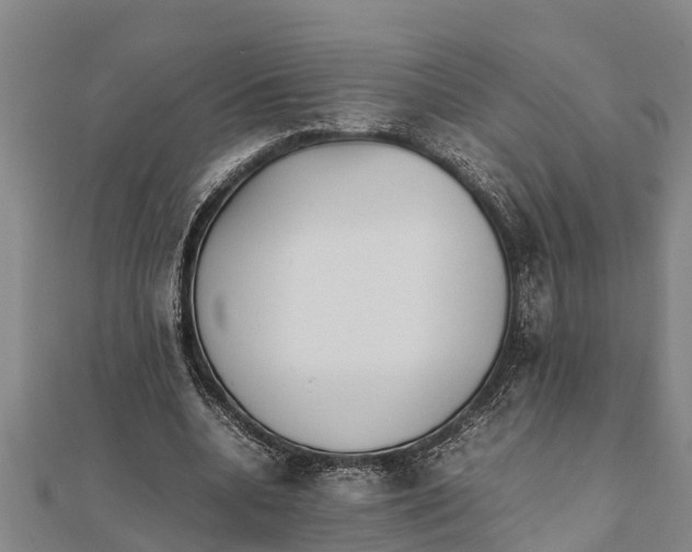 X0000111530536200908041306