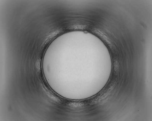 X0000111530537200908041306