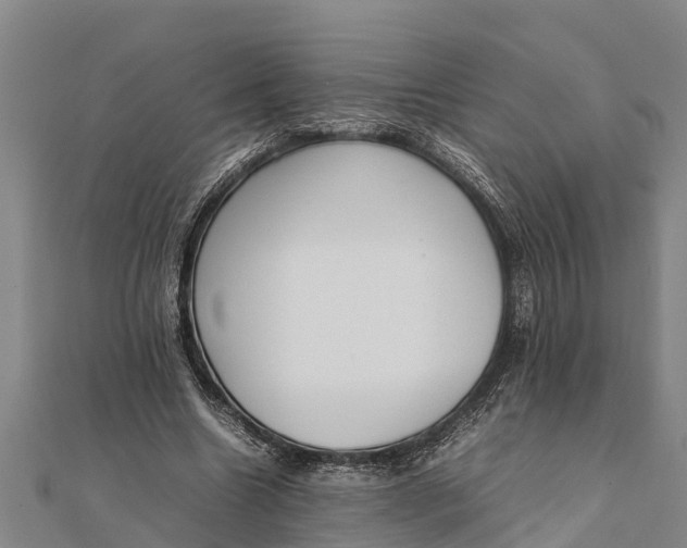 X0000111530538200908041306