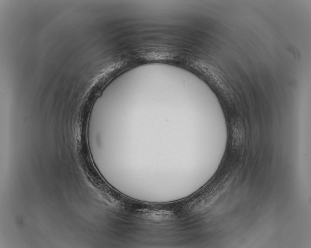 X0000111530539200908041306