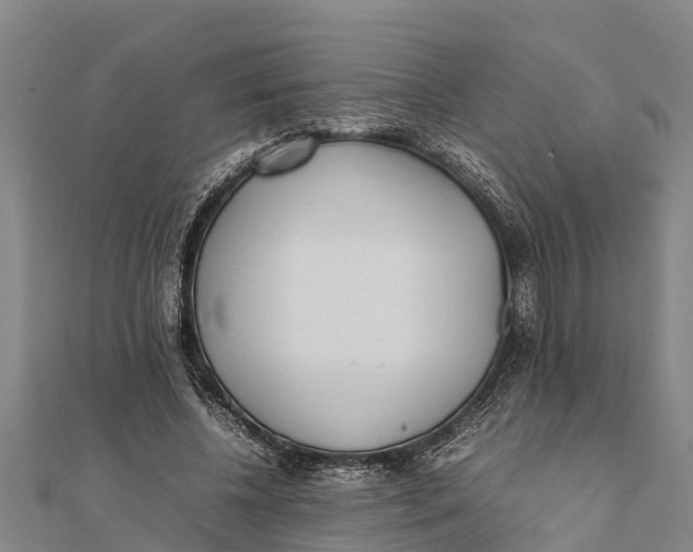 X0000111530540200908041306