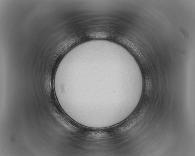 X0000111530541200908041306