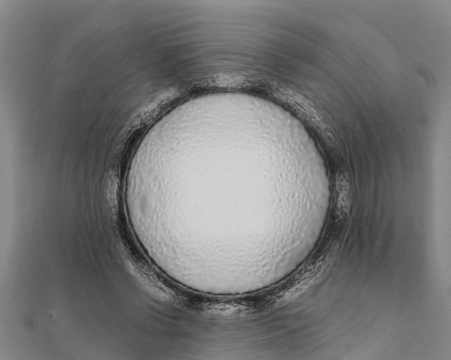 X0000111530542200908041306