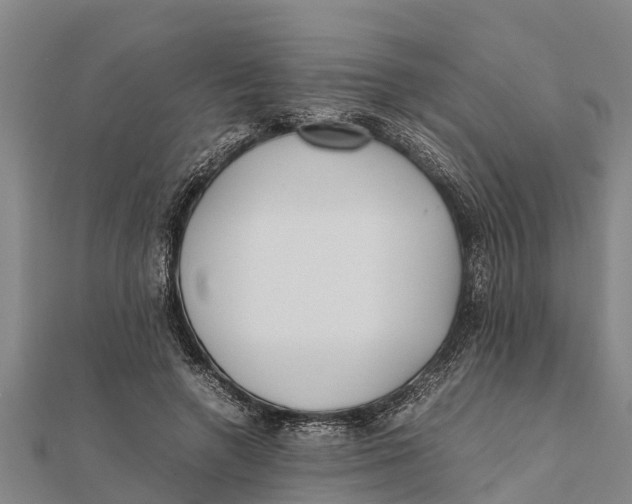 X0000111530546200908041306