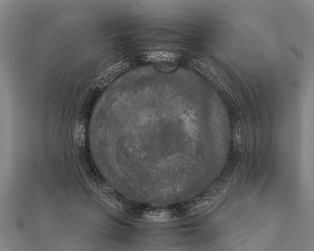 X0000111530551200908041307