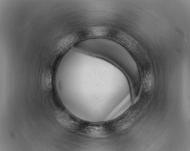 X0000111530552200908041307