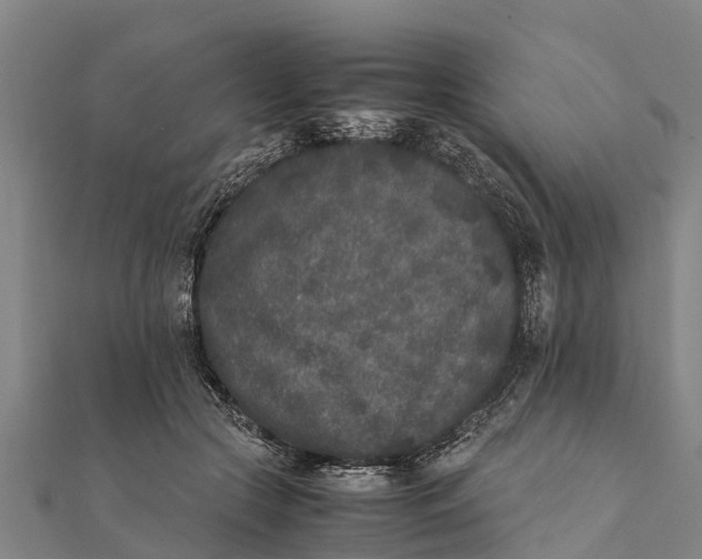 X0000111530553200908041307