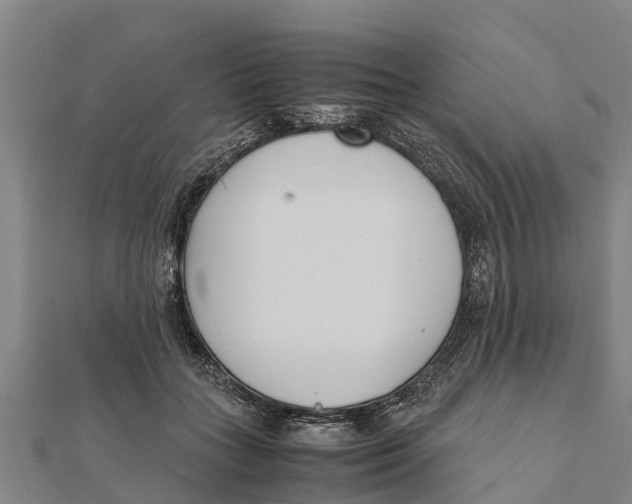 X0000111530555200908041307