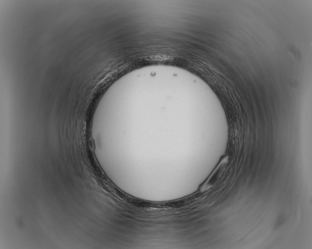 X0000111530556200908041307