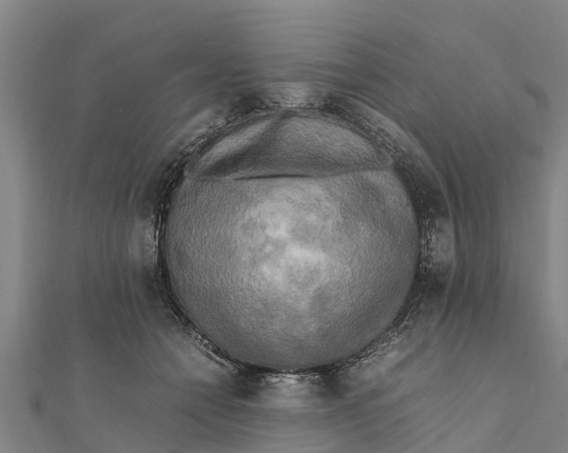 X0000111530558200908041307