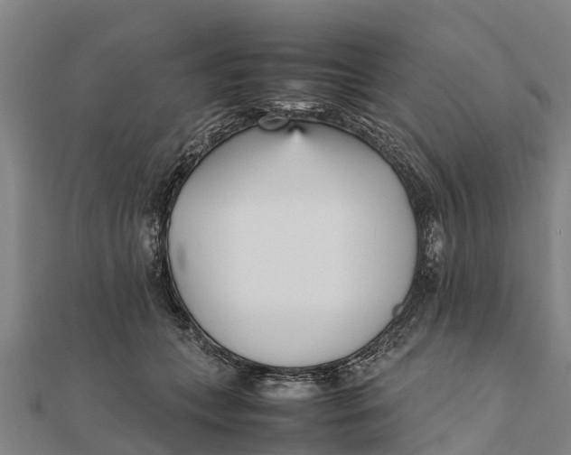 X0000111530559200908041307