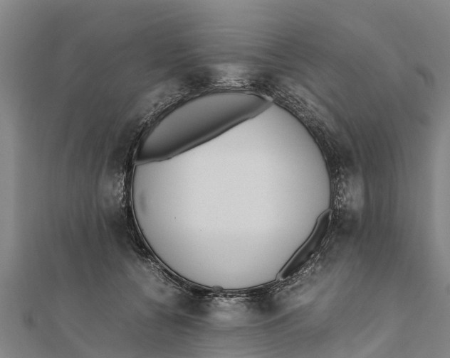 X0000111530560200908041307