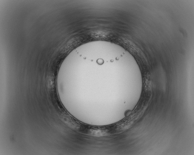 X0000111530561200908041307