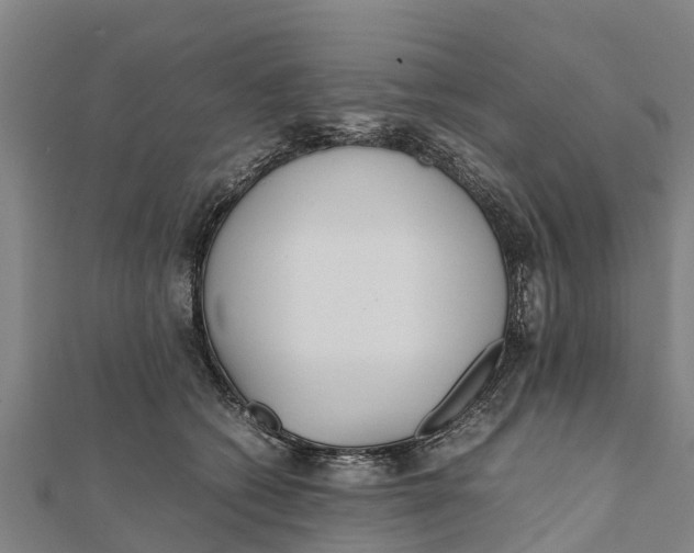 X0000111530562200908041307