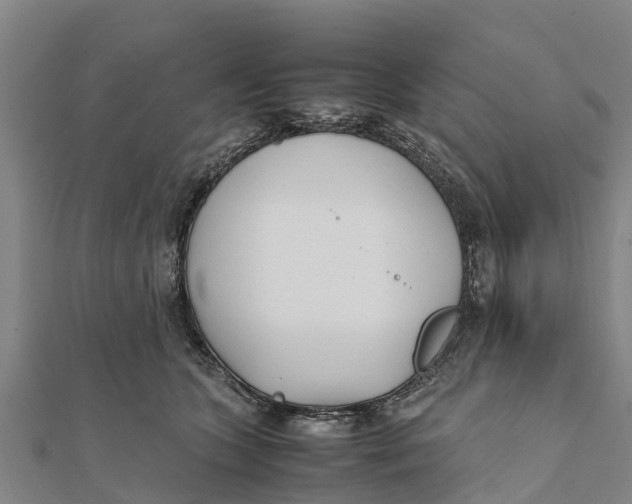 X0000111530563200908041307