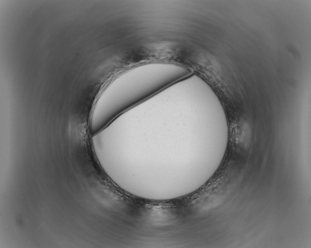 X0000111530564200908041307