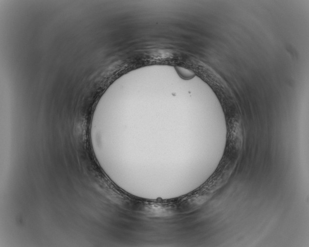 X0000111530565200908041307