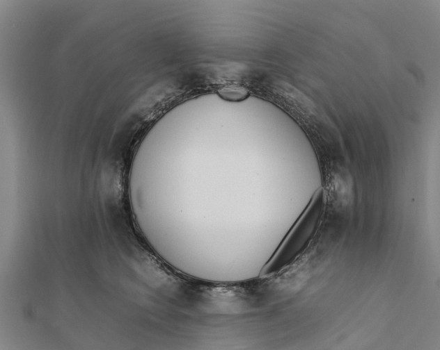 X0000111530566200908041307