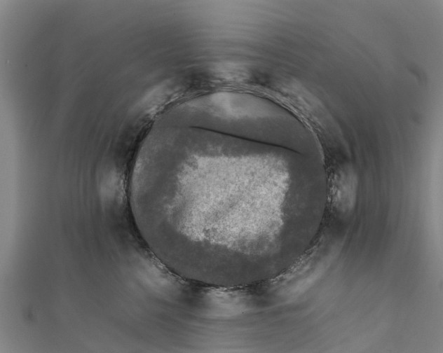 X0000111530568200908041307