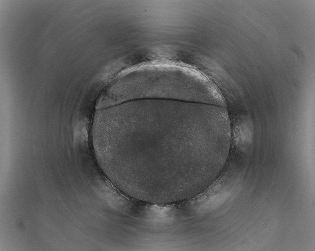 X0000111530570200908041307