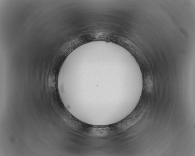 X0000111530571200908041307