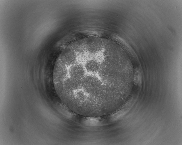 X0000111530573200908041307