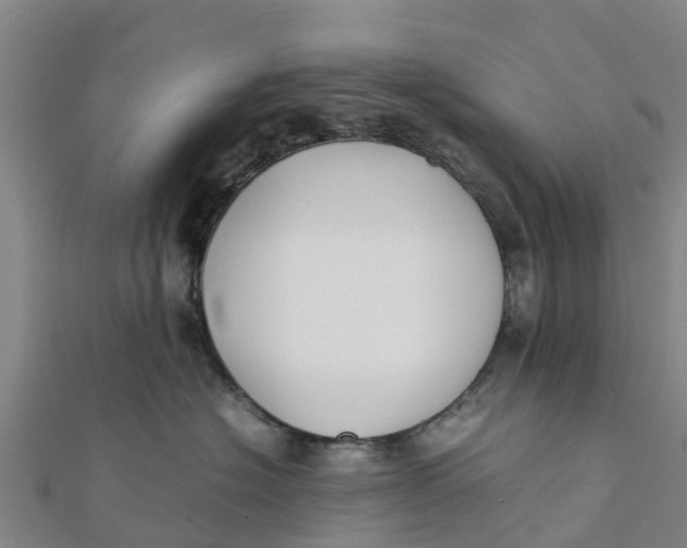 X0000111530574200908041307